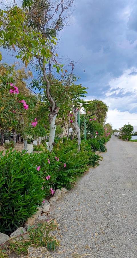 Camping Village Torrenova Cirò Marina Екстериор снимка